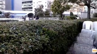 傻猫黑丝母狗一线天